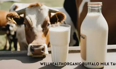 WellHealthOrganic Buffalo Milk Tag