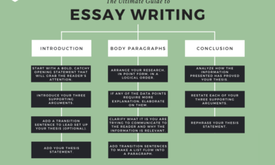 Essay Writing