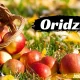 Oridzin