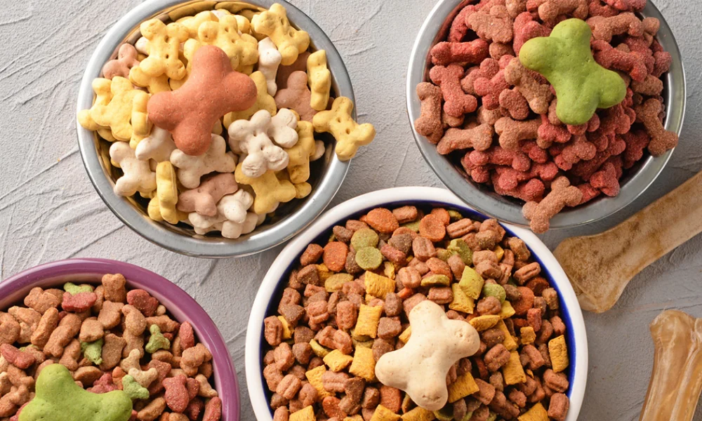 Pawsitively Vibrant Exploring DogFriendly Food Coloring