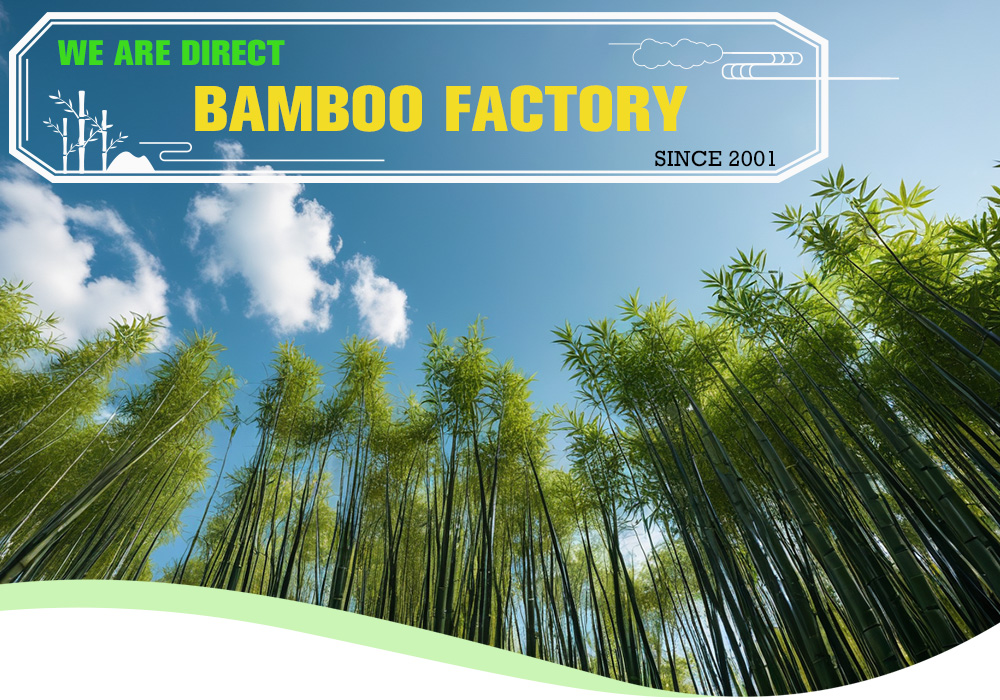 Bamboo Flooring