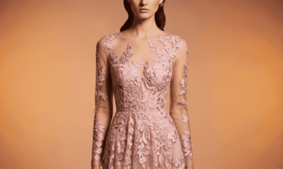 Sheer Maxi Dress 2025