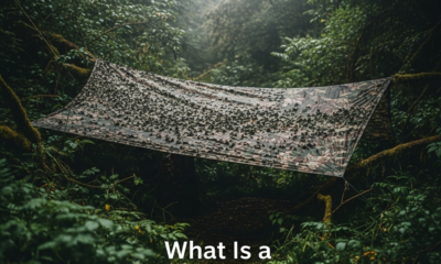 What Is a Tarnplanen?