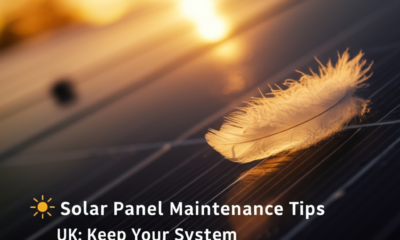 Solar Panel Maintenance Tips UK